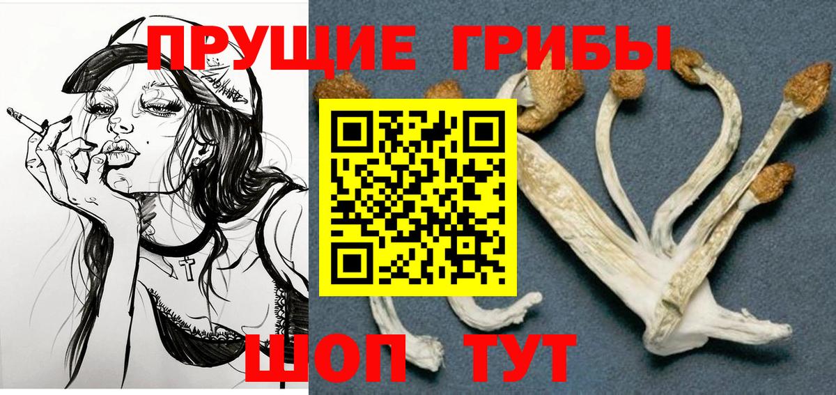 Кондопога  Псилоцибиновые грибы Cubensis  Вход с VPN  Псилоцибиновые грибы мухоморы 