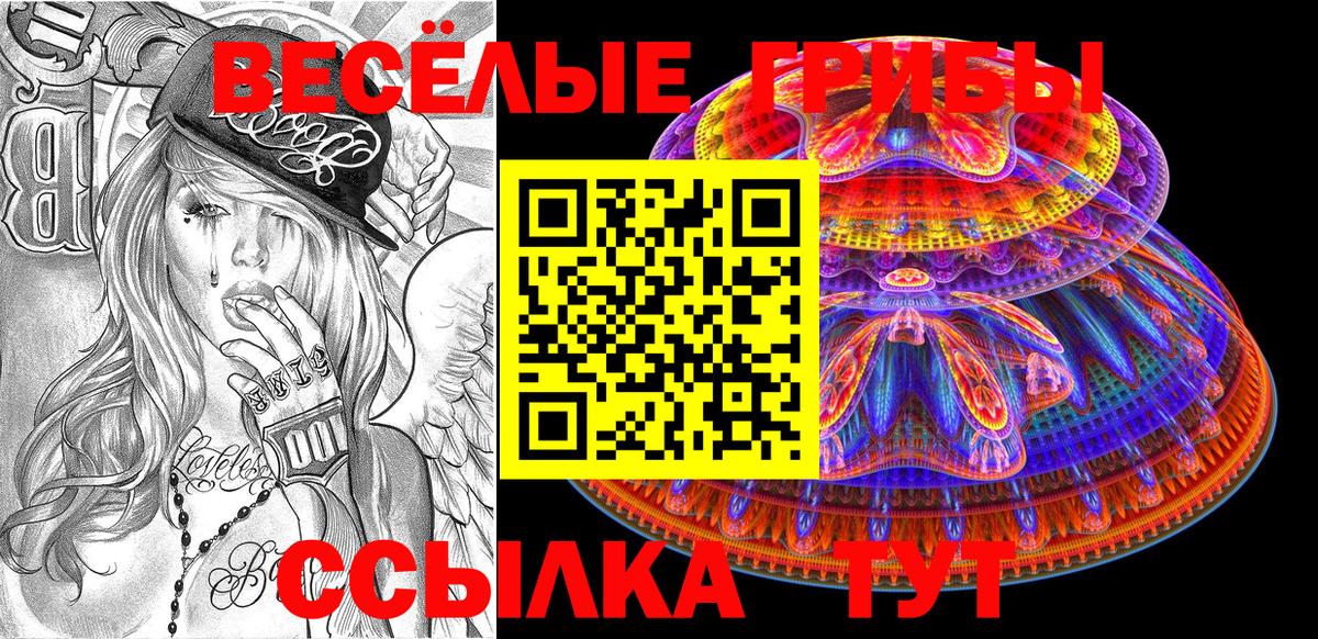 Галлюциногенные грибы прущие грибы Кондопога